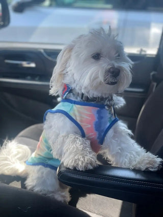 DOG MOM HAT Accent fashions