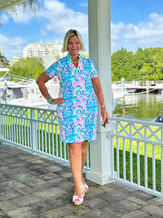SPLASH OF PINK  SHORT SLEEVE DRESS LULU-B