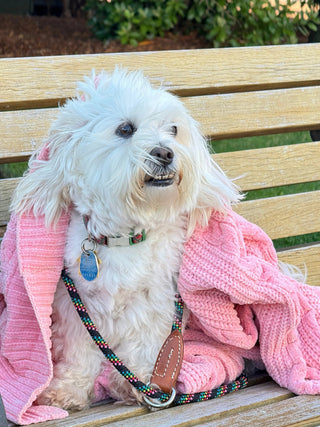 CARDIGAN PLUSH PINK CARDIGAN SWEATER Cathys Place