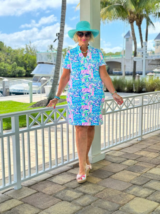 SPLASH OF PINK  SHORT SLEEVE DRESS LULU-B