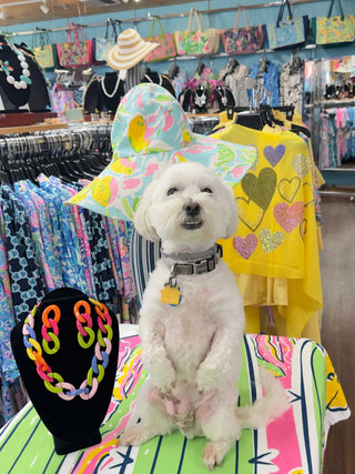 WALKING-ON-SUNSHINE Cathys Place