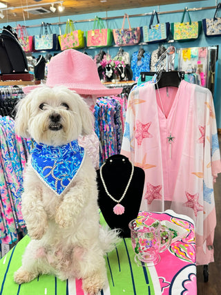 A-SPLASH-OF-PINK-WITH-TEDDY Cathys Place
