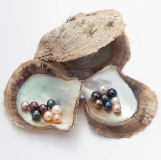 Vantel-Pearl-COLLECTION Cathys Place