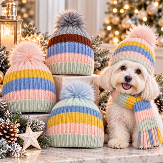 Multi Pastel Stripe Knit Pom Beanie Cathys Place