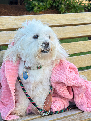 CARDIGAN PLUSH PINK CARDIGAN SWEATER